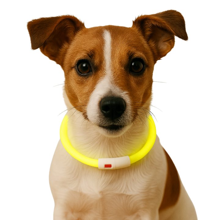 Trixie leuchtendes Hundehalsband - wiederaufladbar - Gelb