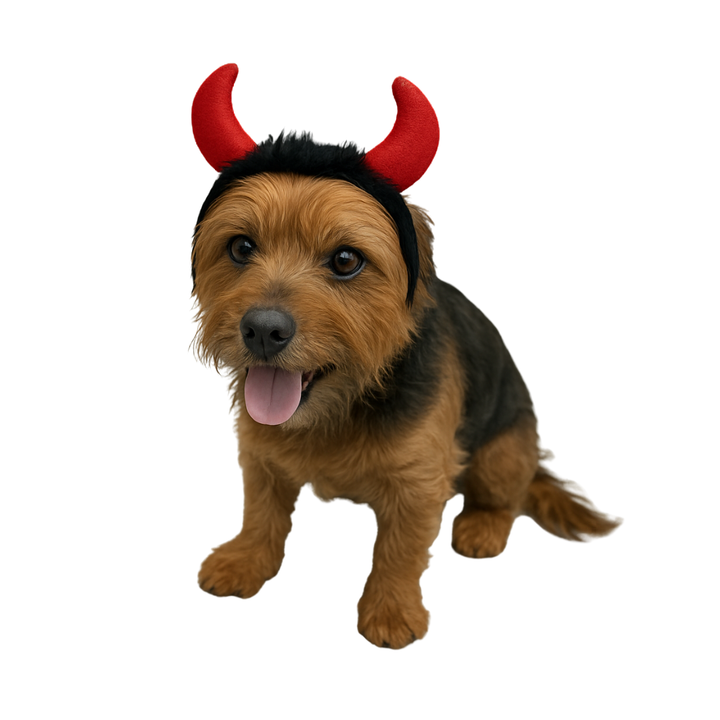Happy Pet Halloween Diadem - Teufel