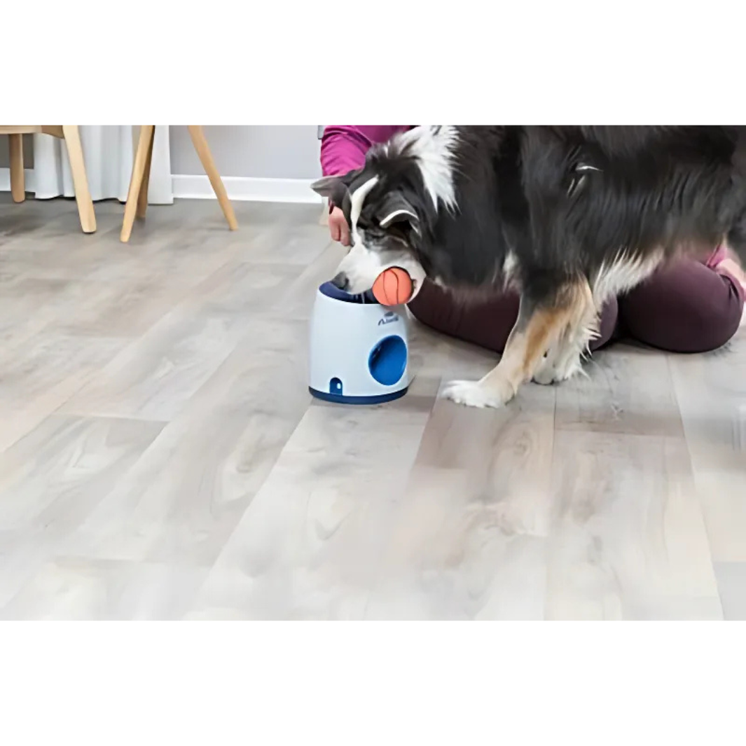 Trixie Activity Strategiespiel mit Ball
