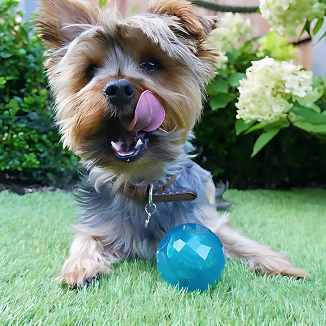 Biosafe Welpen-Snackball