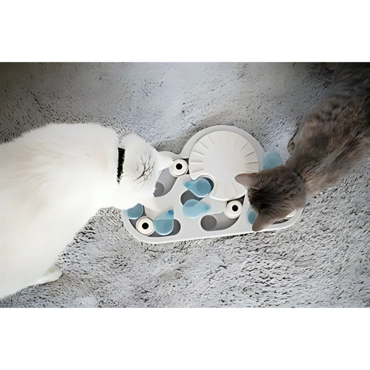 Nina Ottosson Puzzle & Play - Regentag
