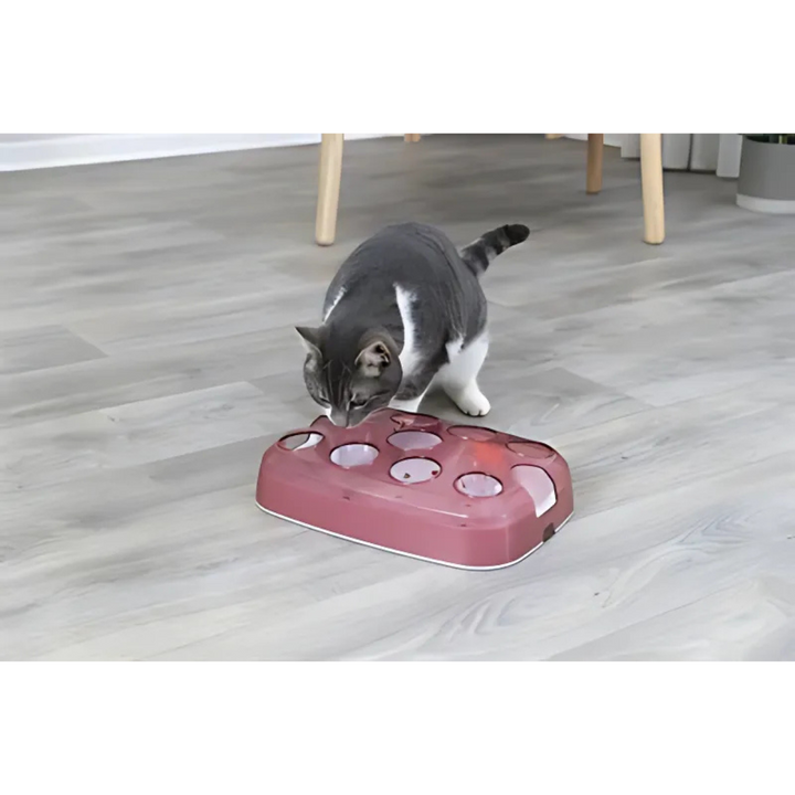 Trixie Fussball