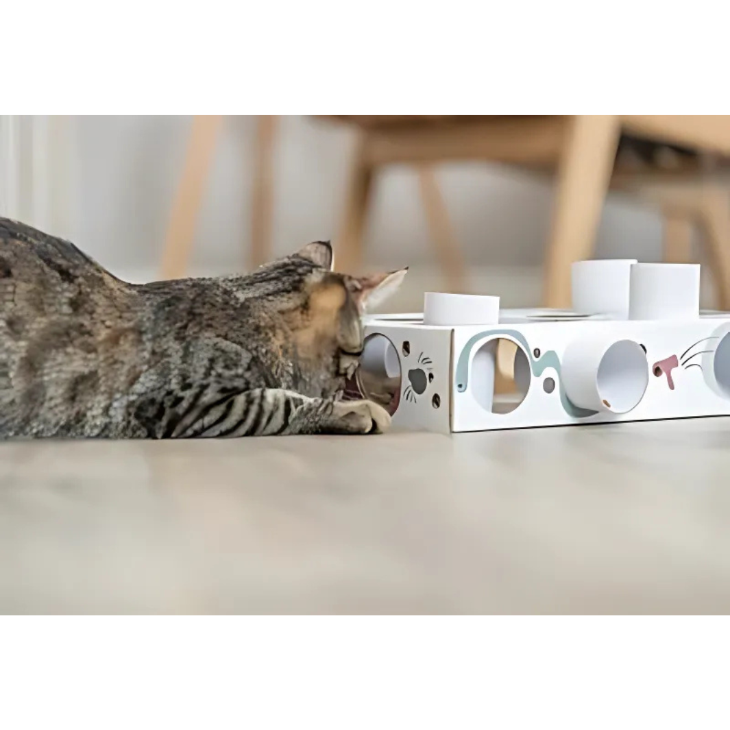 Trixie Paws'n'treats Box