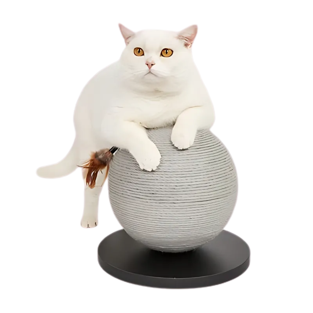 Fofos Kratzball