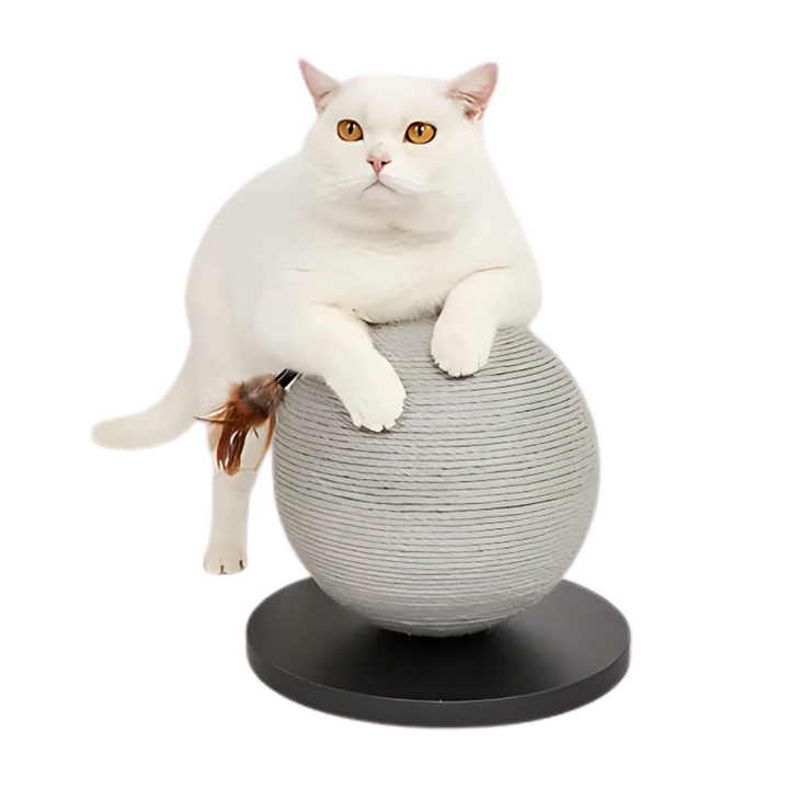 Fofos Kratzball