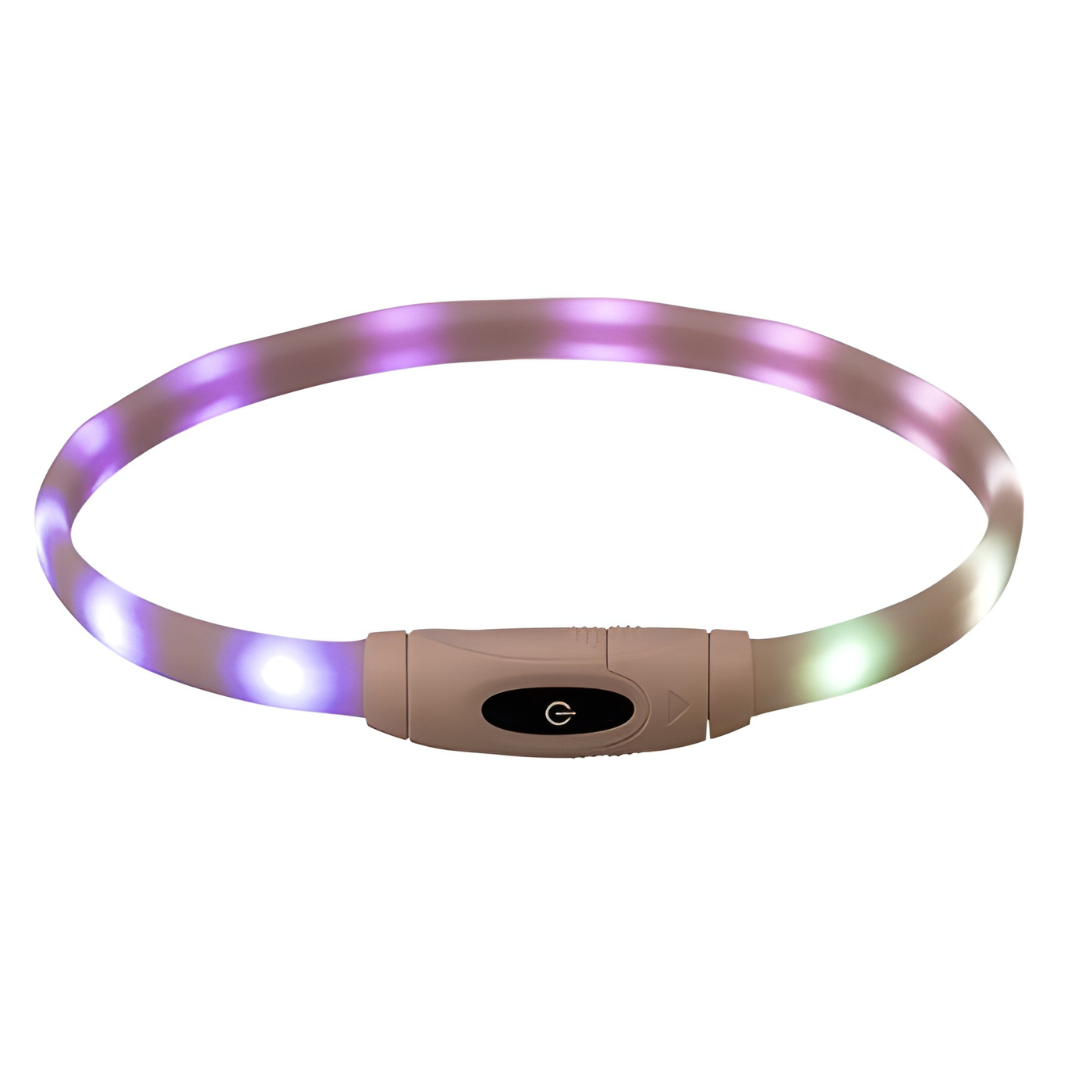 Trixie Leuchtendes Hundehalsband - wiederaufladbar - Mehrfarbig