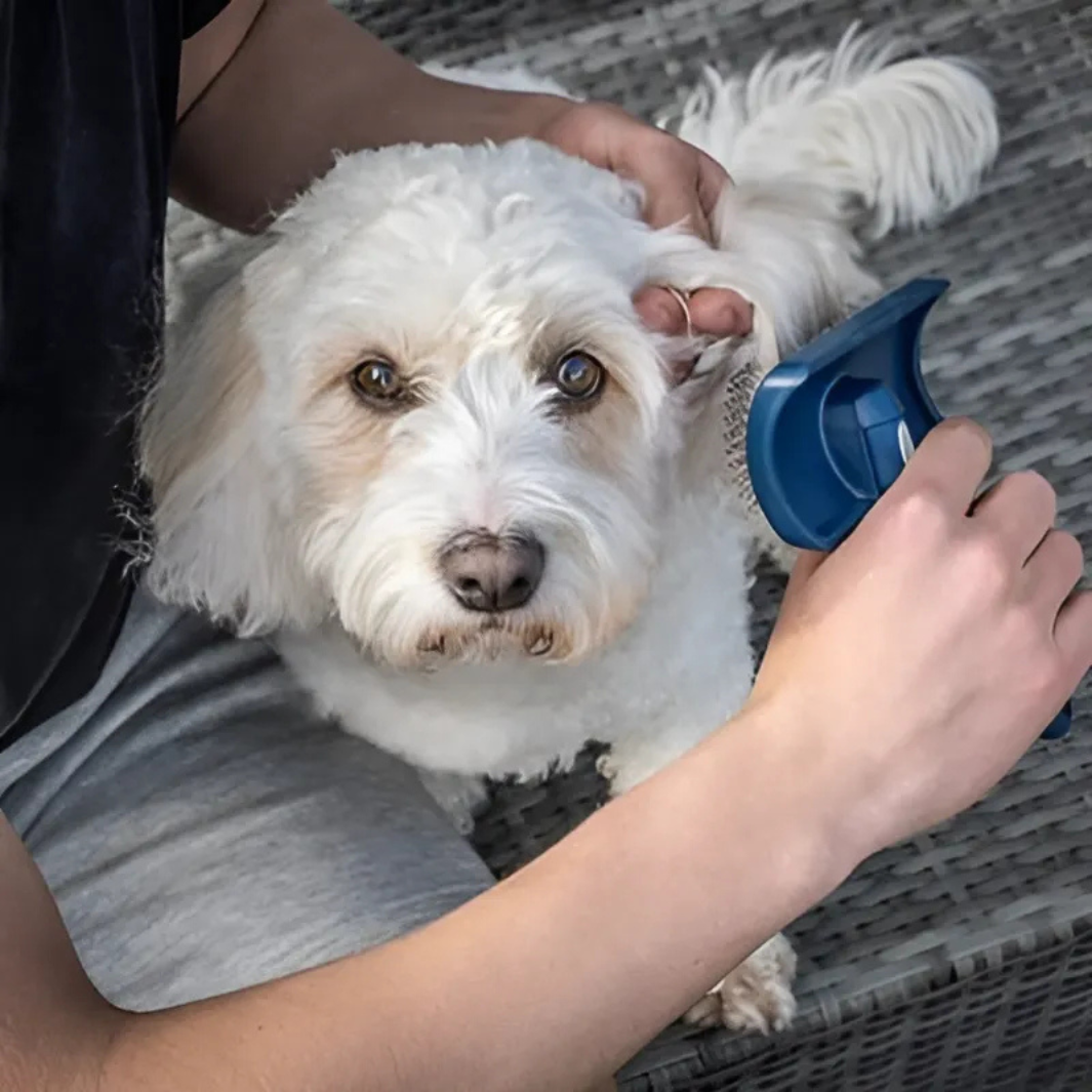 Mikki Doodle Slicker Bürste