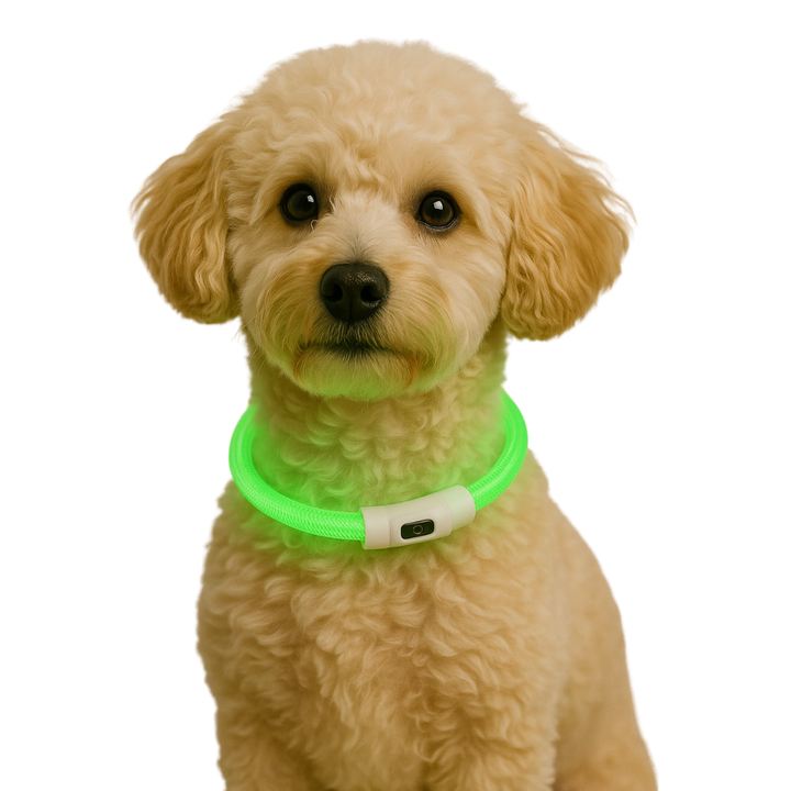 Trixie leuchtendes Hundehalsband - wiederaufladbar - Grün