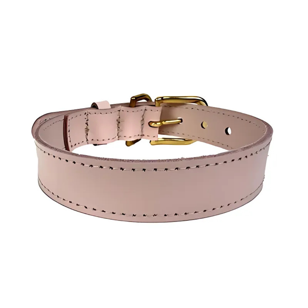 Sazzz Hundehalsband Braveheart Classic Leder Hellrosa