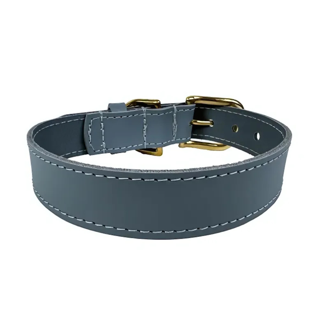 Sazzz Hundehalsband Braveheart Classic Leder - Hellblau
