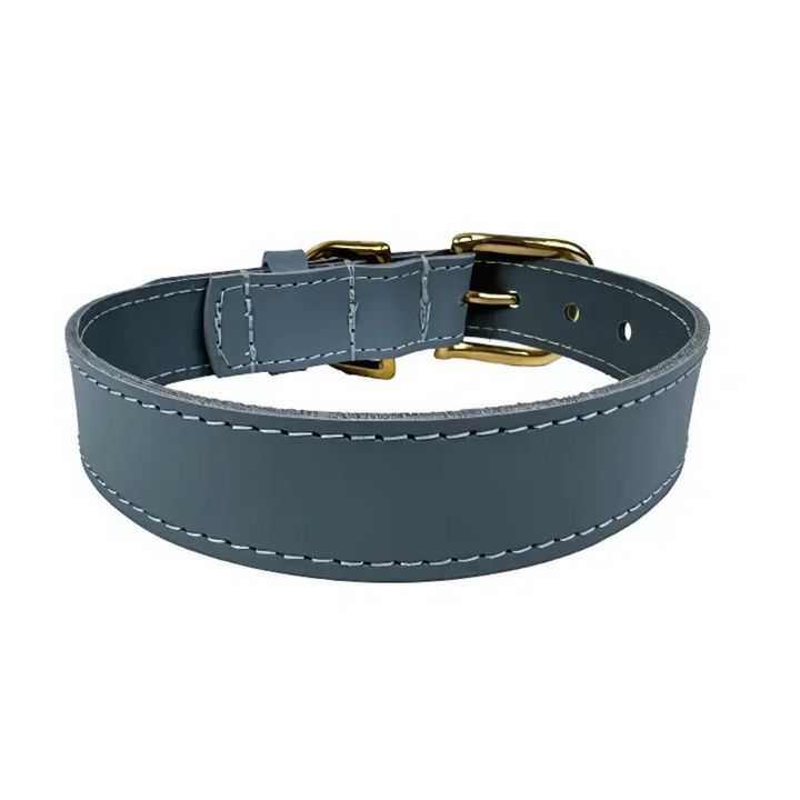 Sazzz Hundehalsband Braveheart Classic Leder - Hellblau