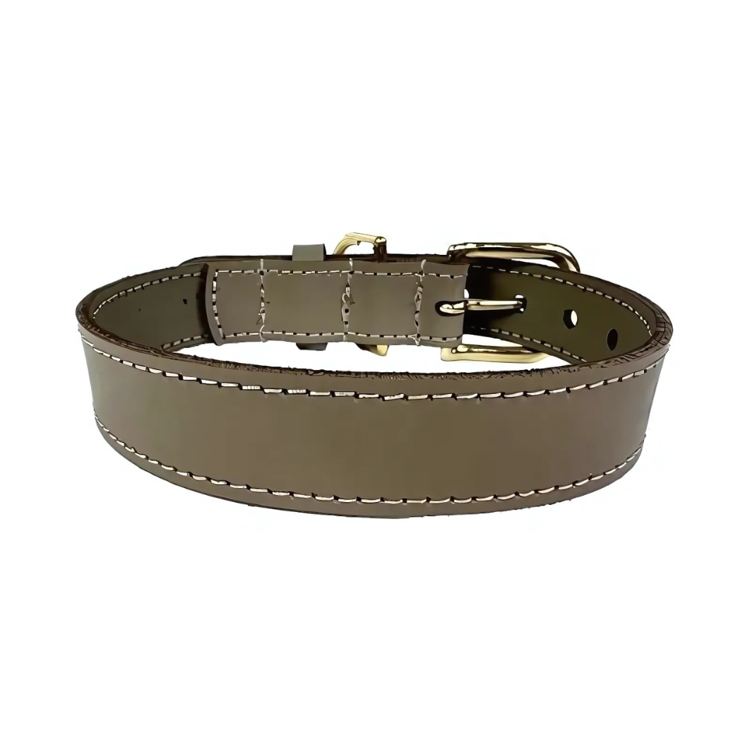 Sazzz Hundehalsband Braveheart Classic Leder - Taupe