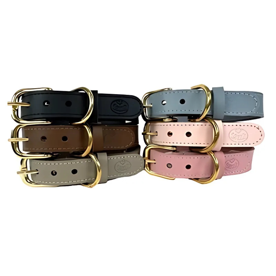 Sazzz Hundehalsband Braveheart Classic Leder - Taupe