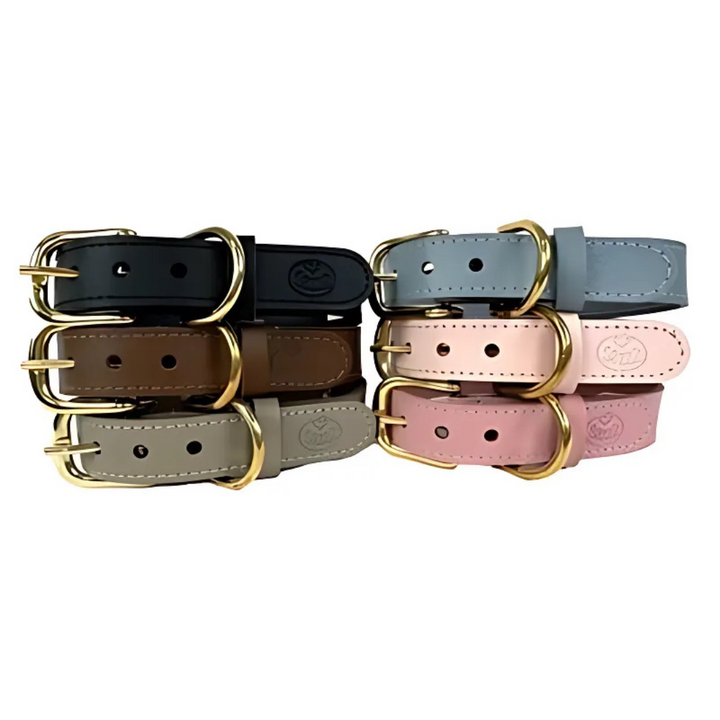 Sazzz Hundehalsband Braveheart Classic Leder - Taupe