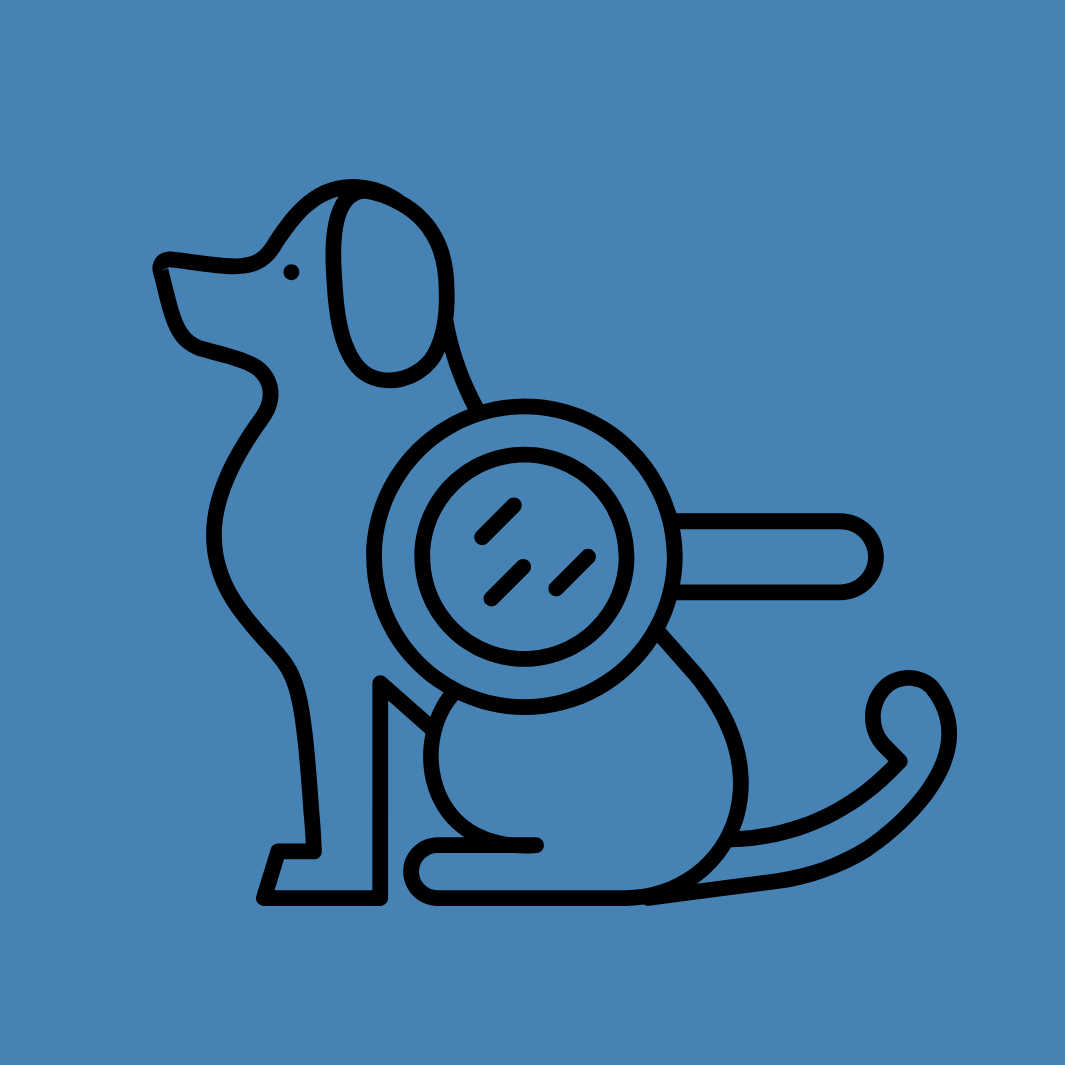 Für atopische Hundehaut