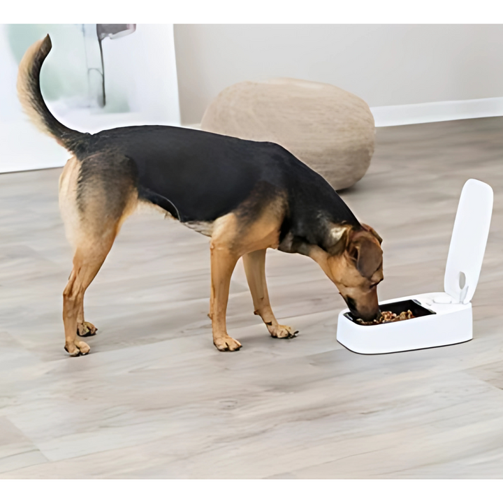 Trixie Automatischer Futterspender Trixie Tx1
