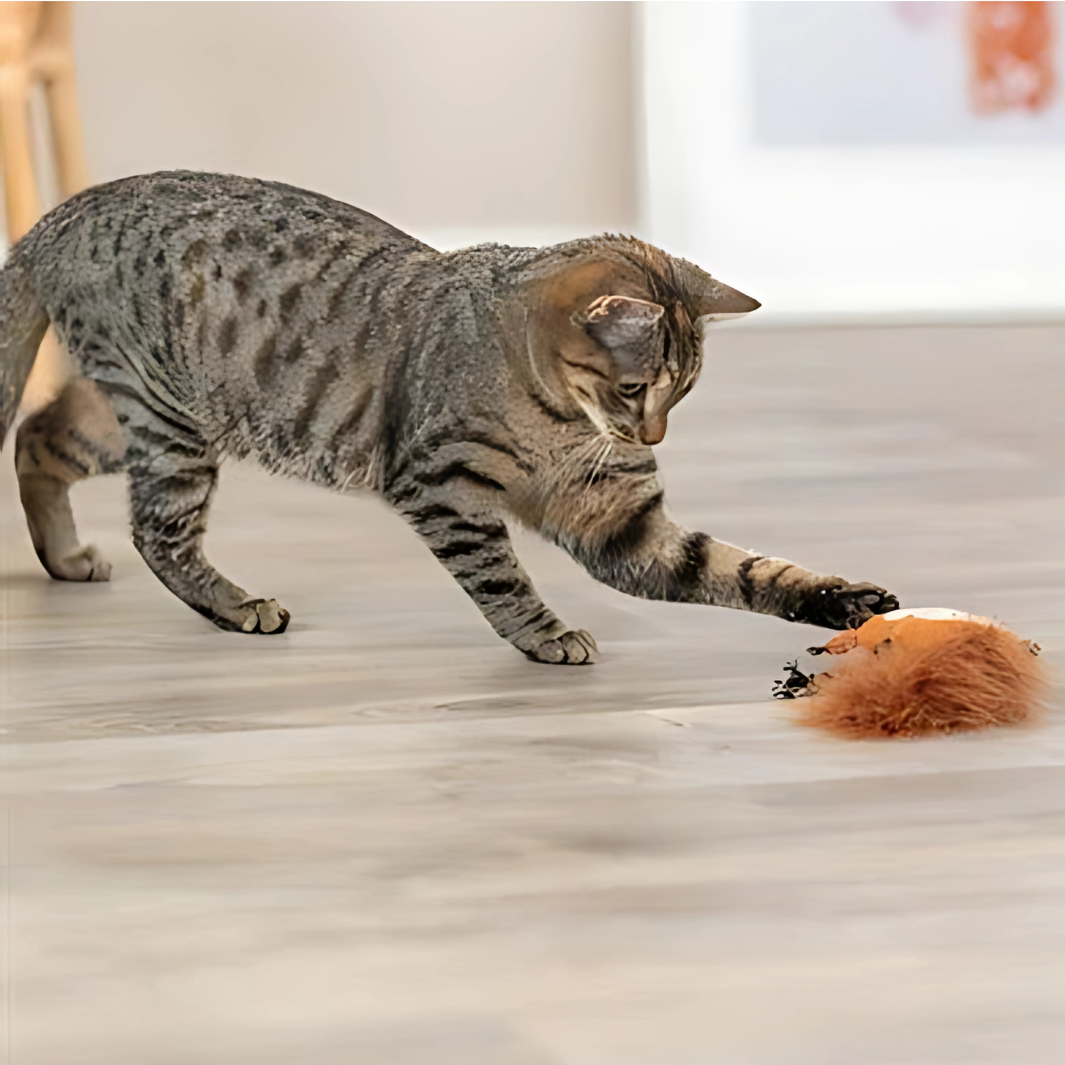 Trixie Eichhörnchen Plüsch Mit Federschwanz und Katzenminze