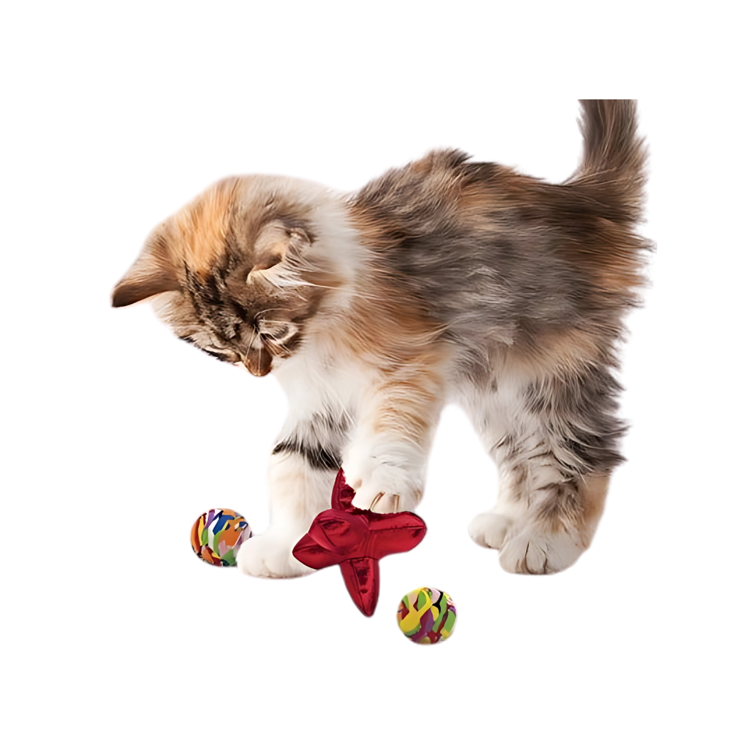 Kong Ball Multipack Mit Katzenminze Rot