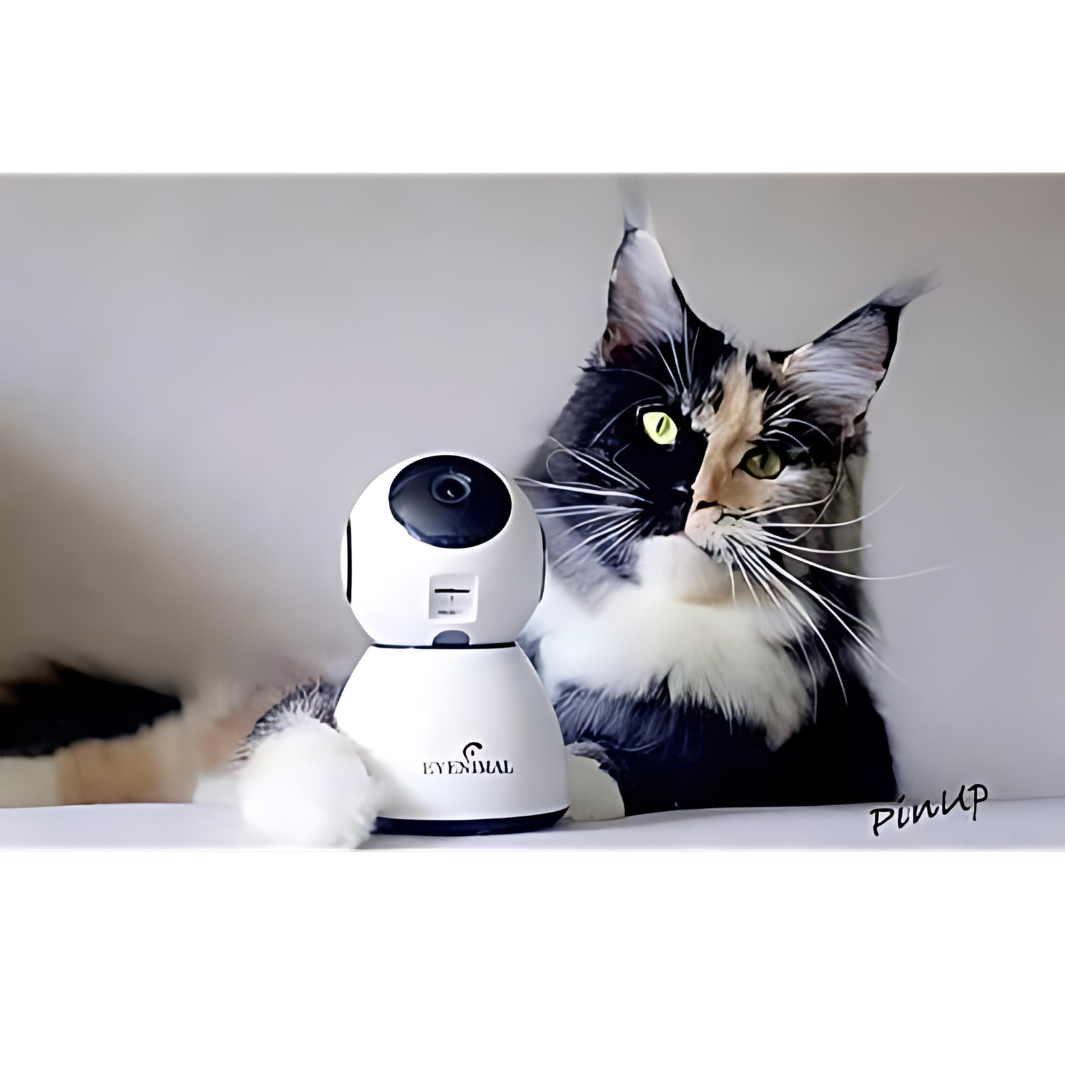Eyenimal Pet Vision Live Hd Kamera