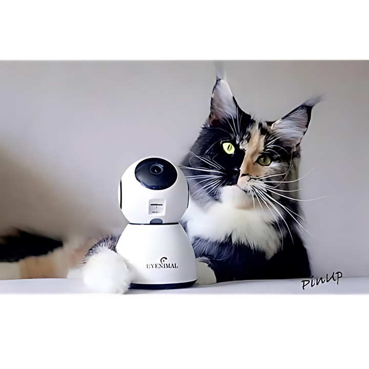 Eyenimal Pet Vision Live Hd Kamera