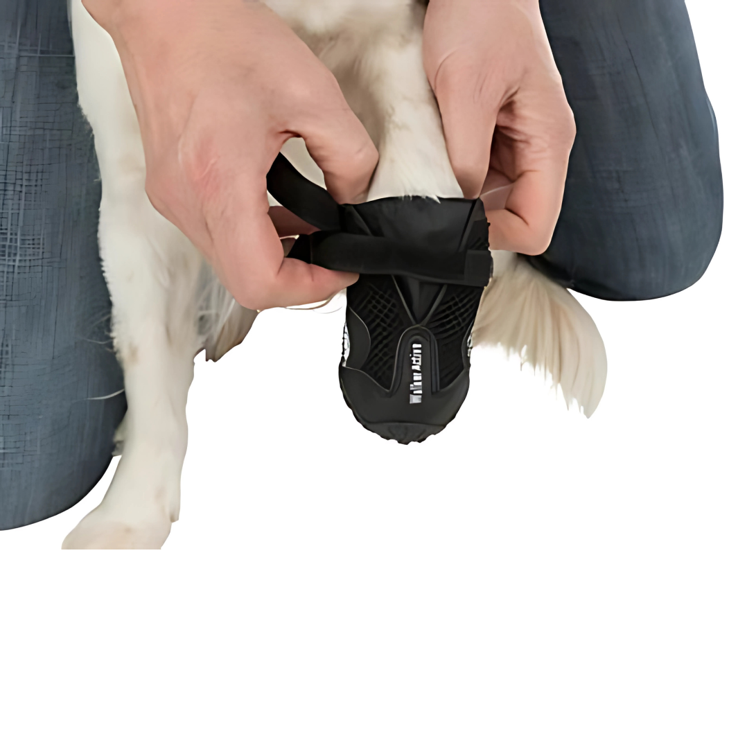 Trixie Beinschutz Geher Aktiv Schwarz