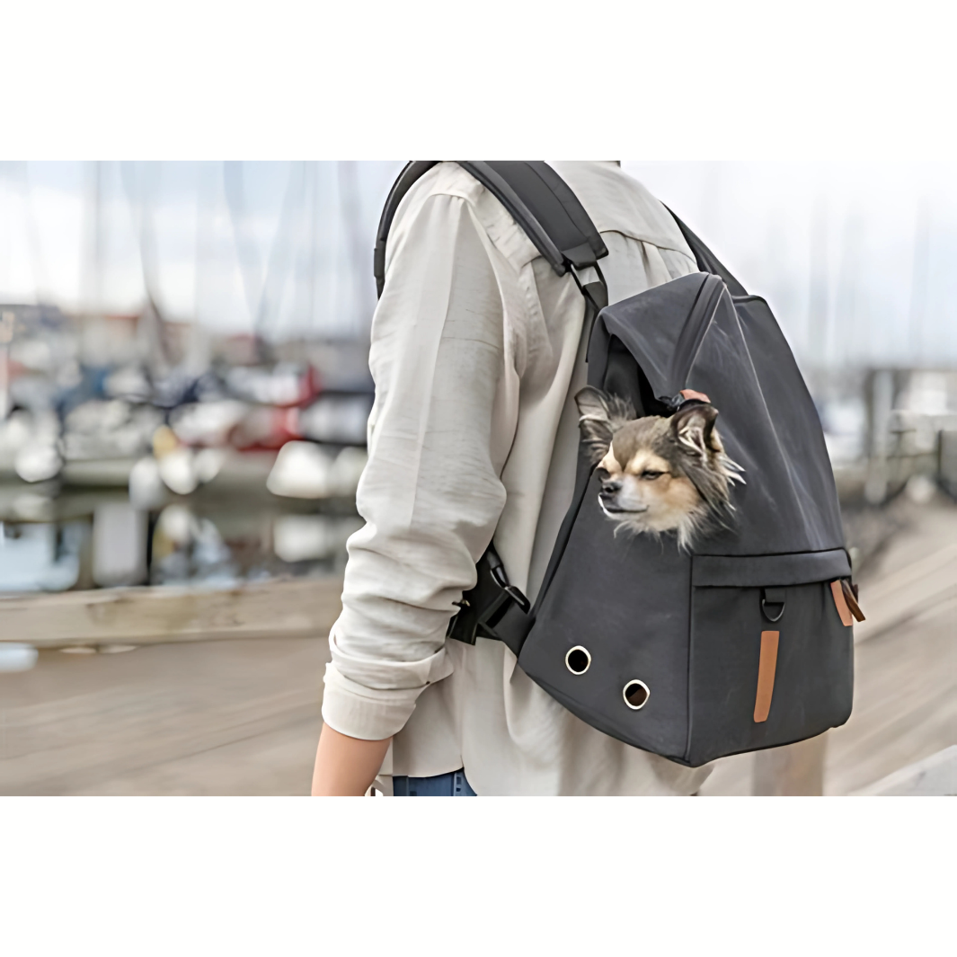 Trixie Be Nordic Hund Rucksack Bjorn Schwarz