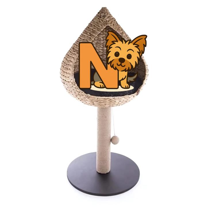 Martin Kratzbaum Vietnam - Mit Tropfen Korb