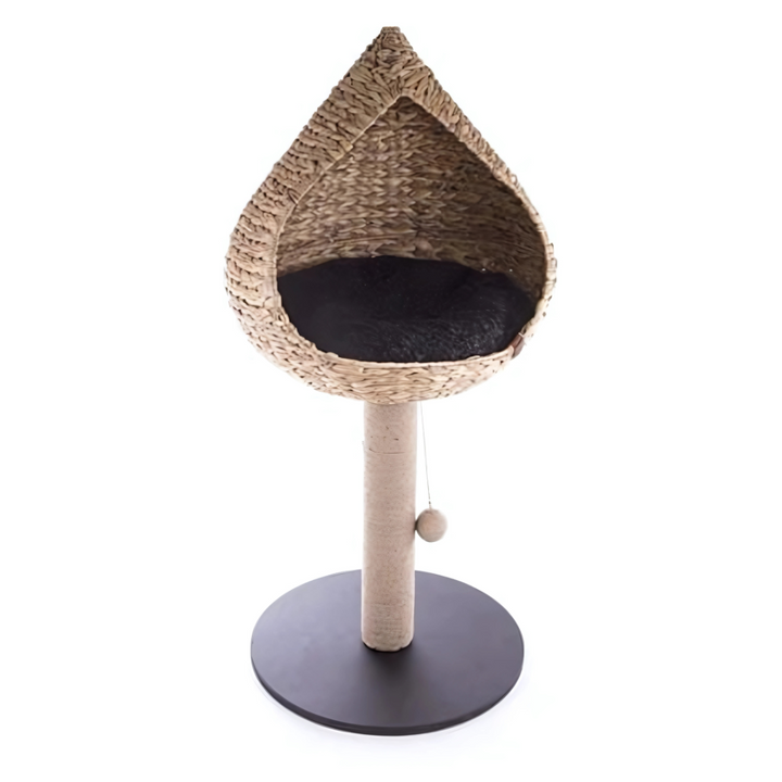 Martin Kratzbaum Vietnam Mit Korb Tropfen Wasserhyazinthe