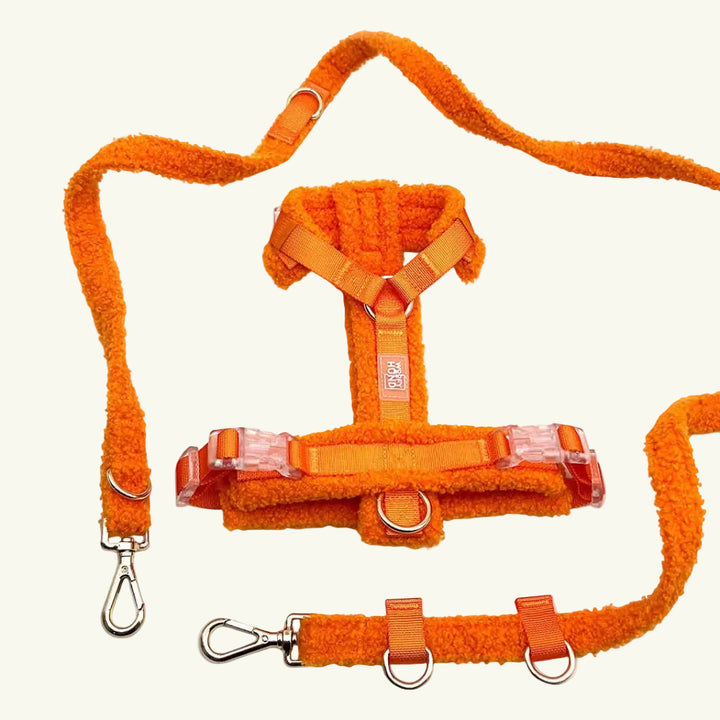 Hundegeschirr-Set Teddy Orange