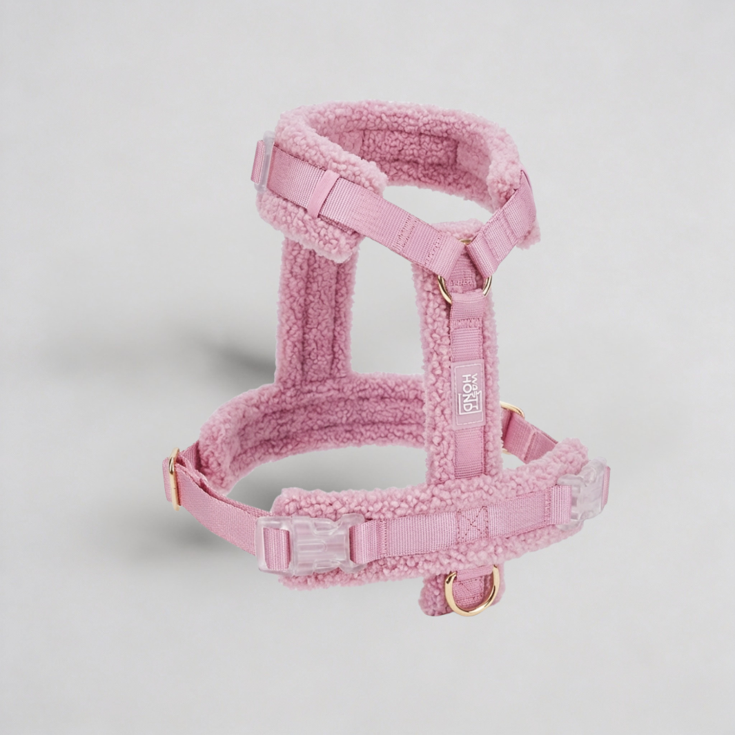 Hundegeschirr-Set Teddy Rosa