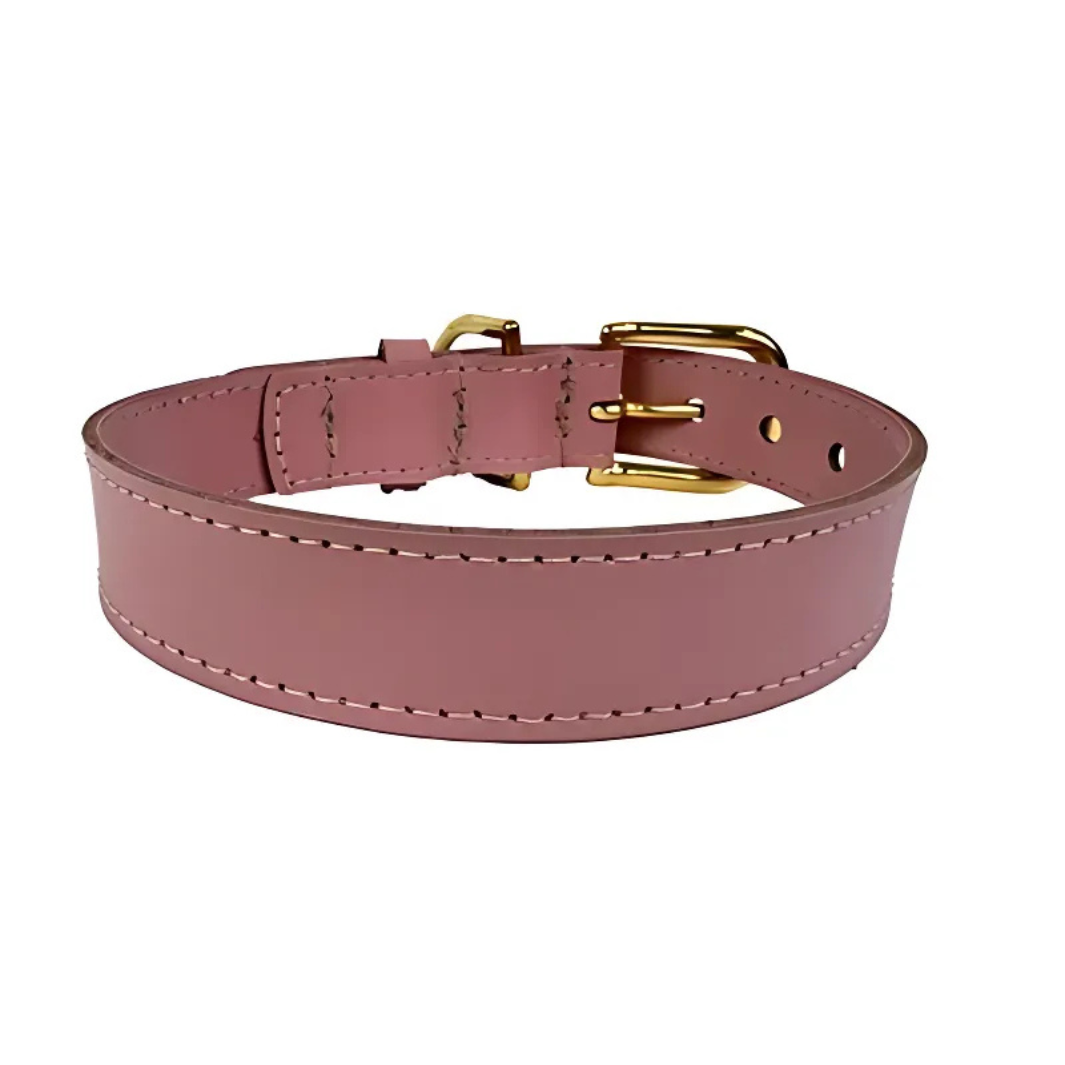 Sazzz Hundehalsband Braveheart Classic Leder Rosa