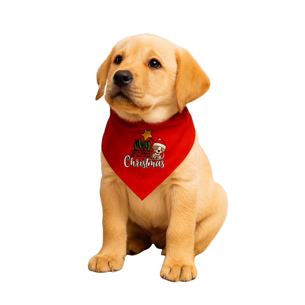 X-mas Set für Welpen: Mütze / Bandana / Knochen