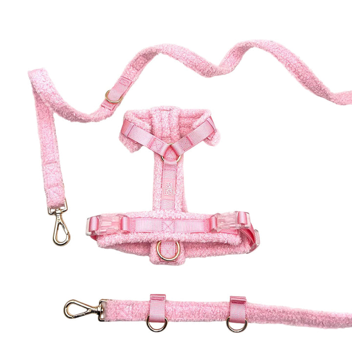 Hundegeschirr-Set Teddy Rosa