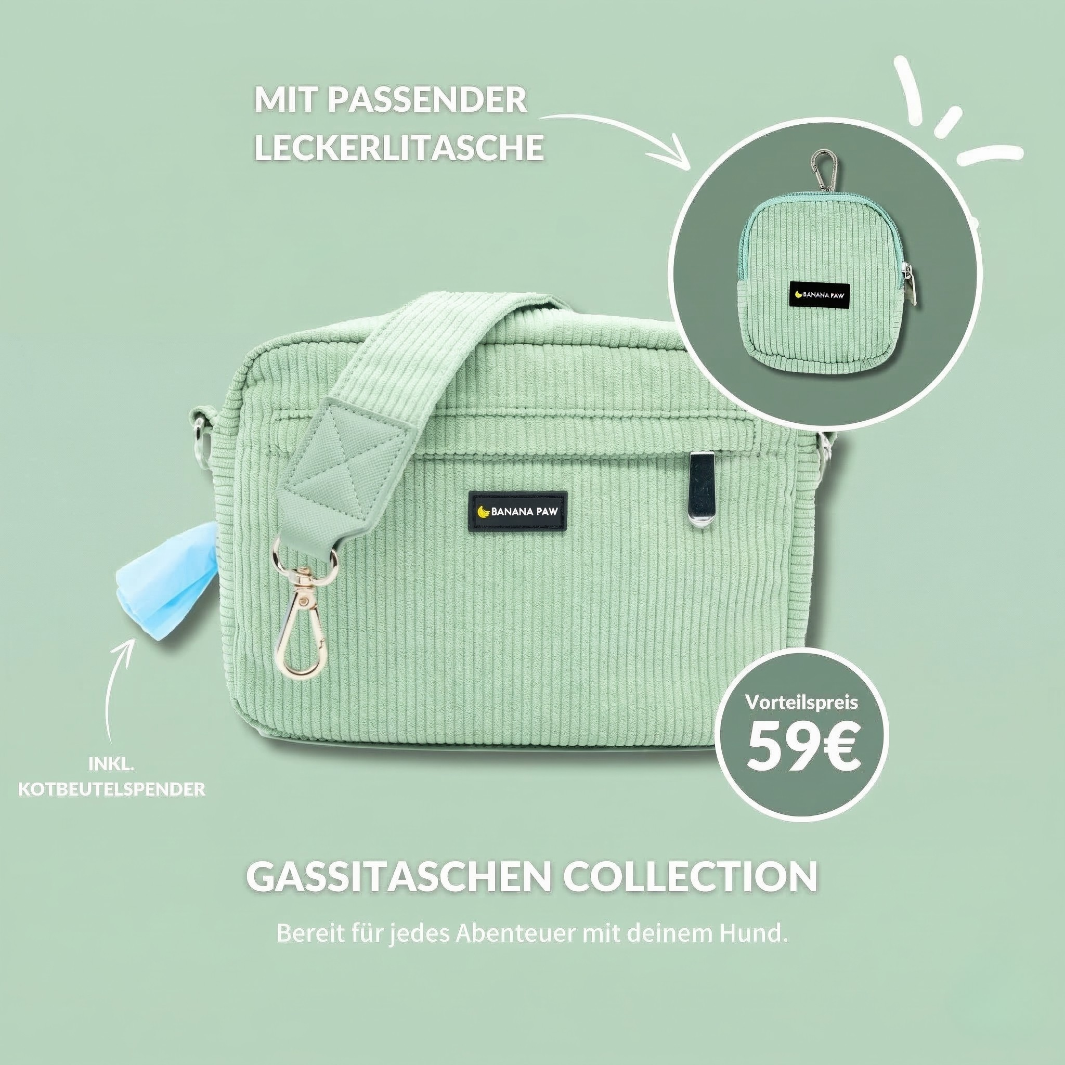 Gassitasche  · Cord · Mint Bliss
