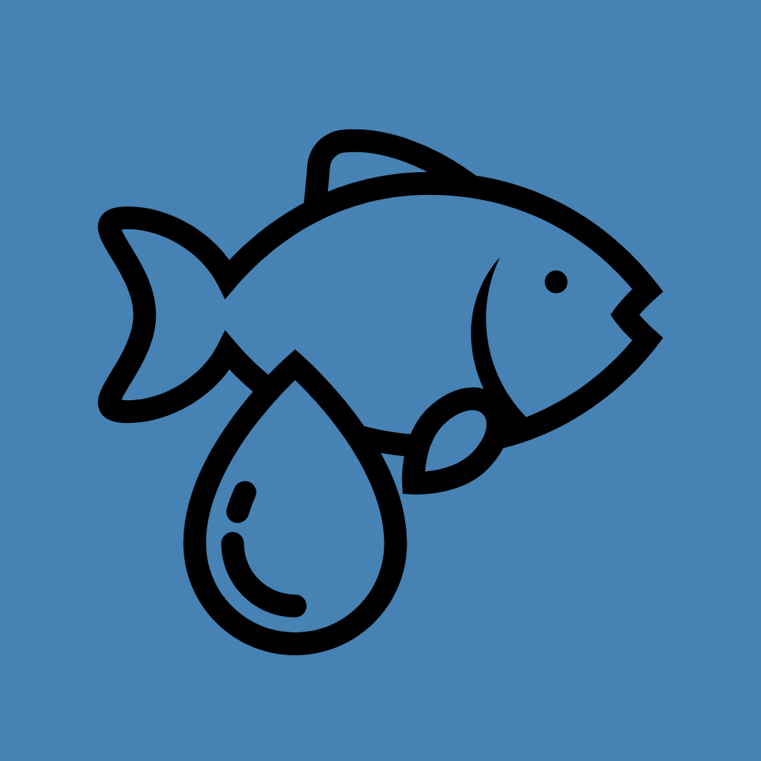 Reich an Omega-3 und -6 Fettsäuren