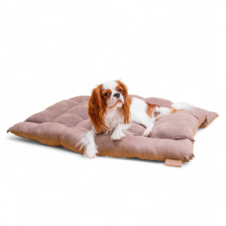 Leichte, waschbare 3in1 Hundematte