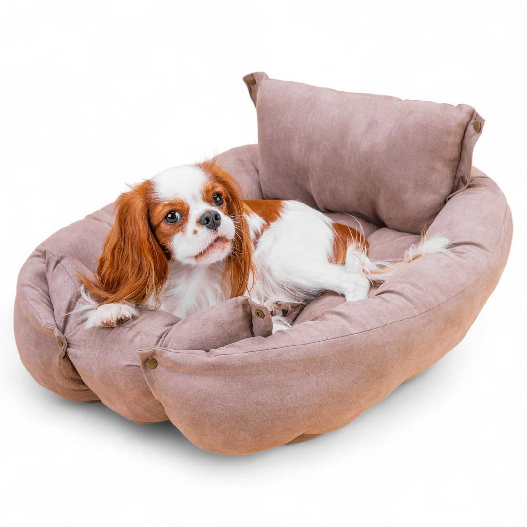 Leichte, waschbare 3in1 Hundematte