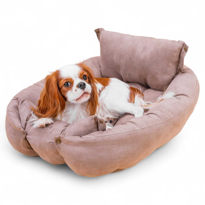 Leichte, waschbare 3in1 Hundematte