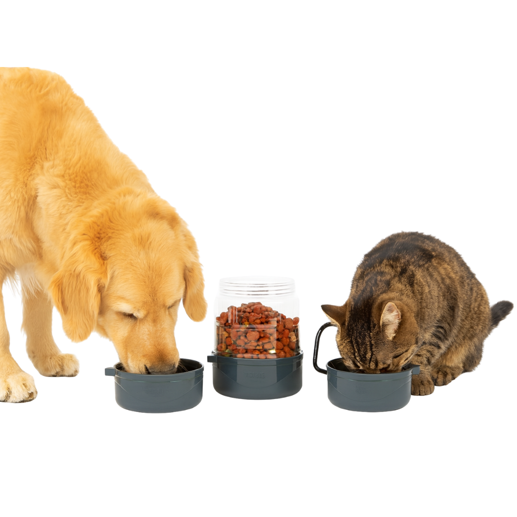 Reise-Set aus 2 Näpfen und Futterbehälter