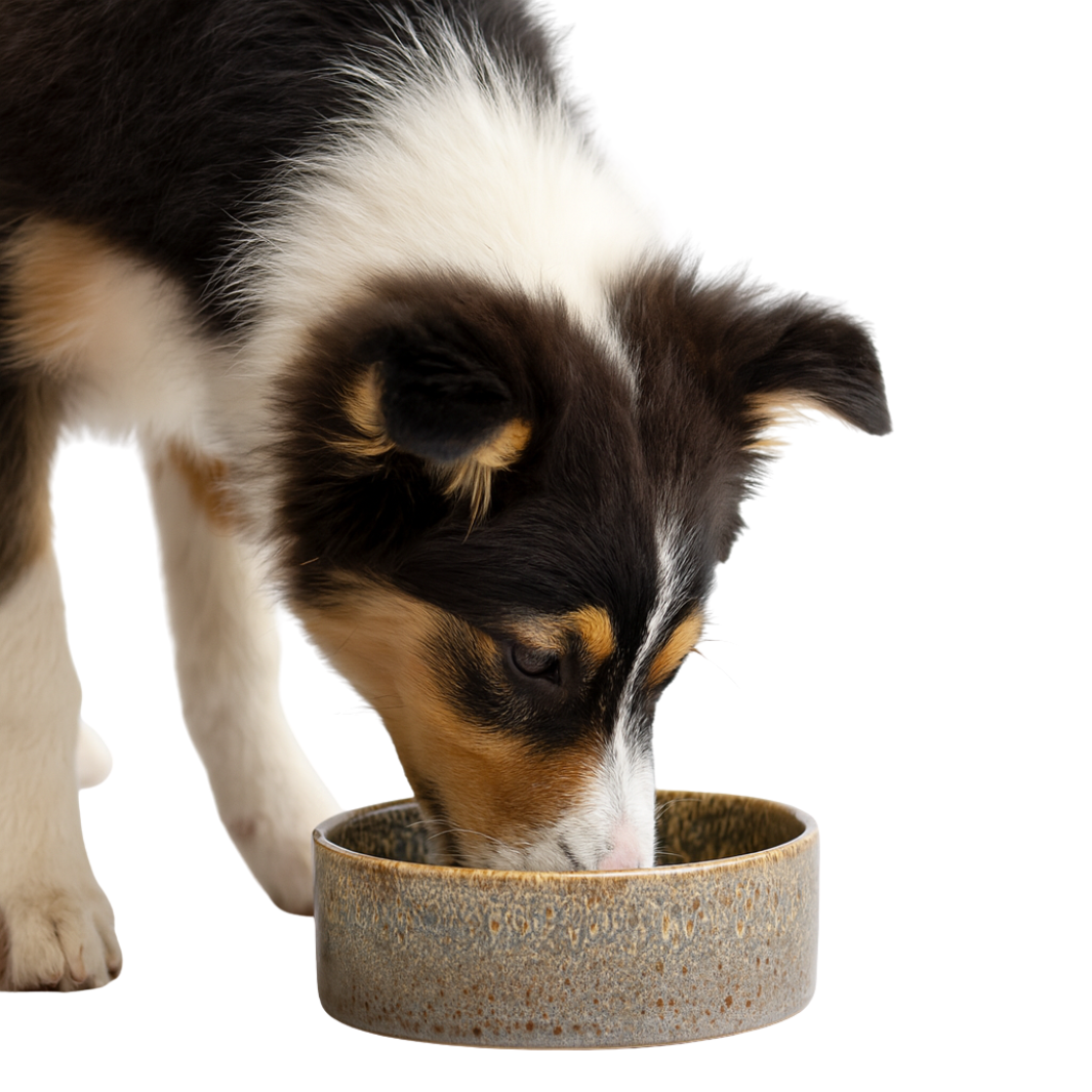 Keramiknapf mit Musterung