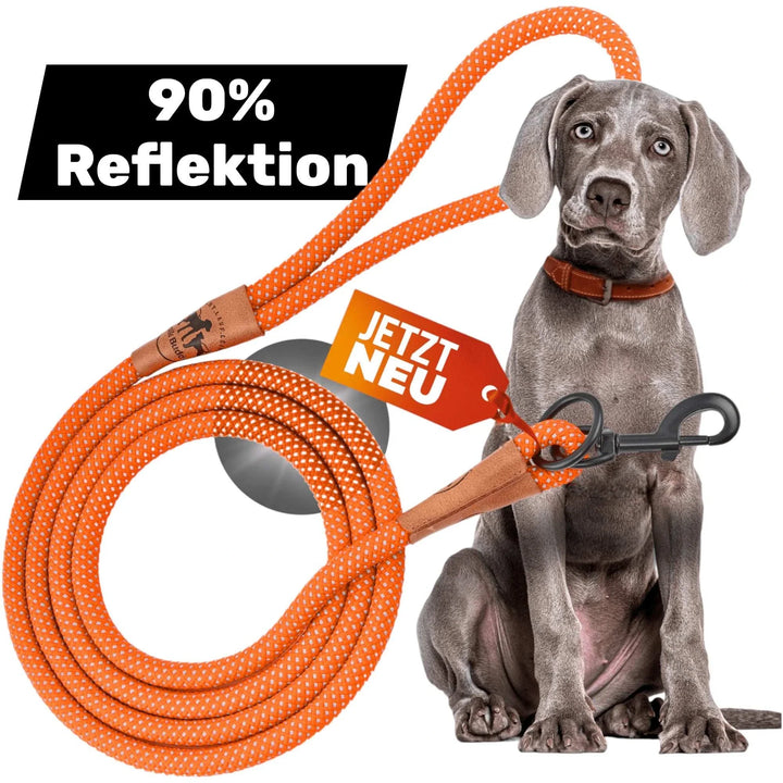 Reflektionsleine© mit Handschlaufe und veganem Leder