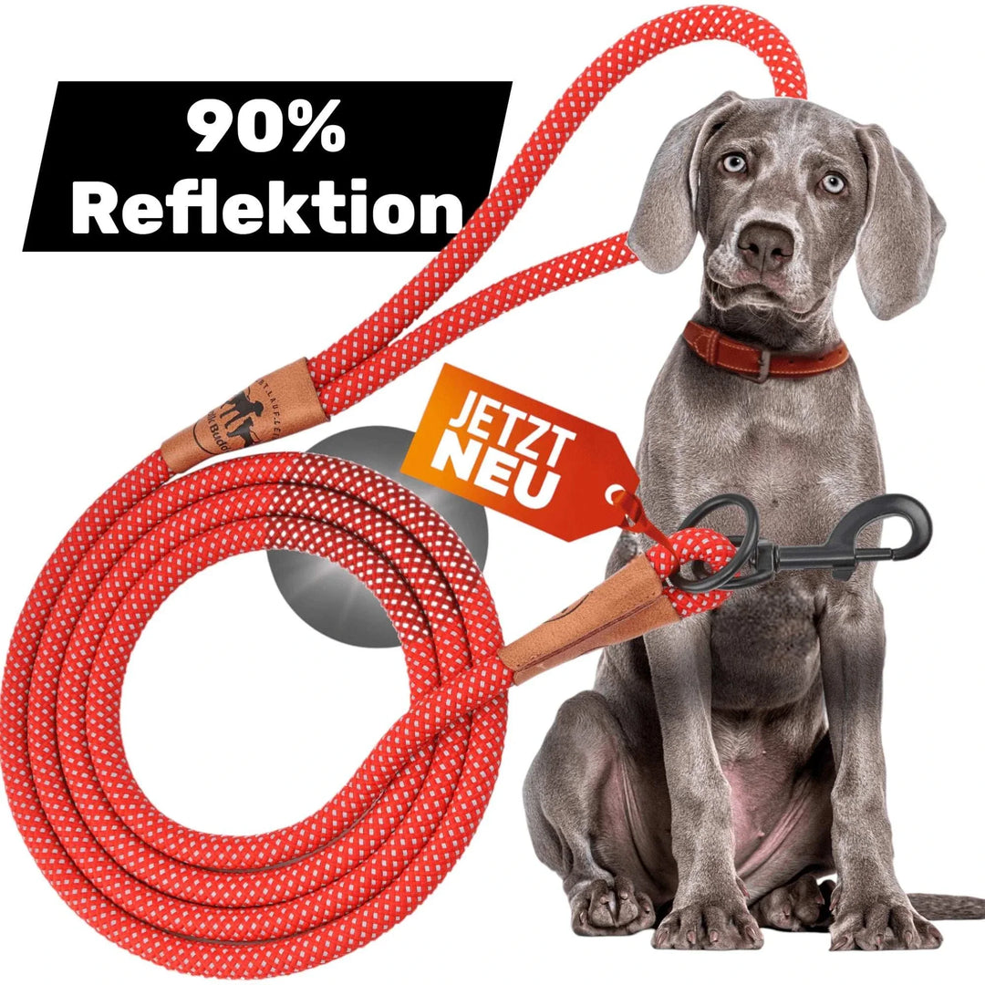 Reflektionsleine© mit Handschlaufe und veganem Leder