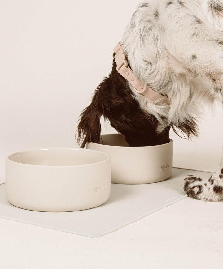 Ceramic Bowl Set