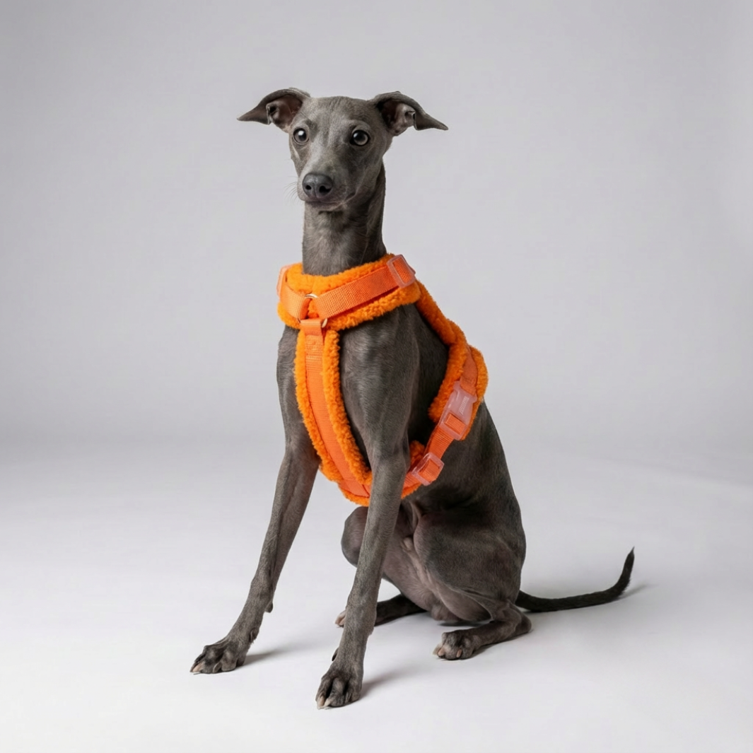 Hundegeschirr-Set Teddy Orange