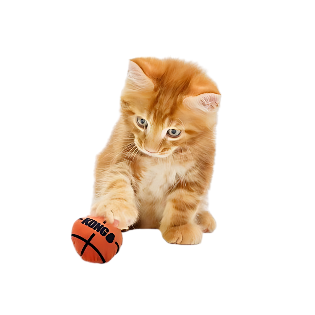 Kong Katzensportbälle Mit Katzenminze