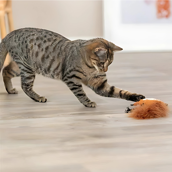 Trixie Eichhörnchen Plüsch Mit Federschwanz und Katzenminze
