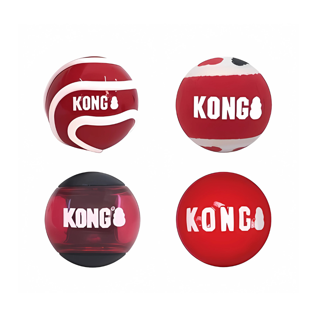 Kong Signaturbälle Sortiert