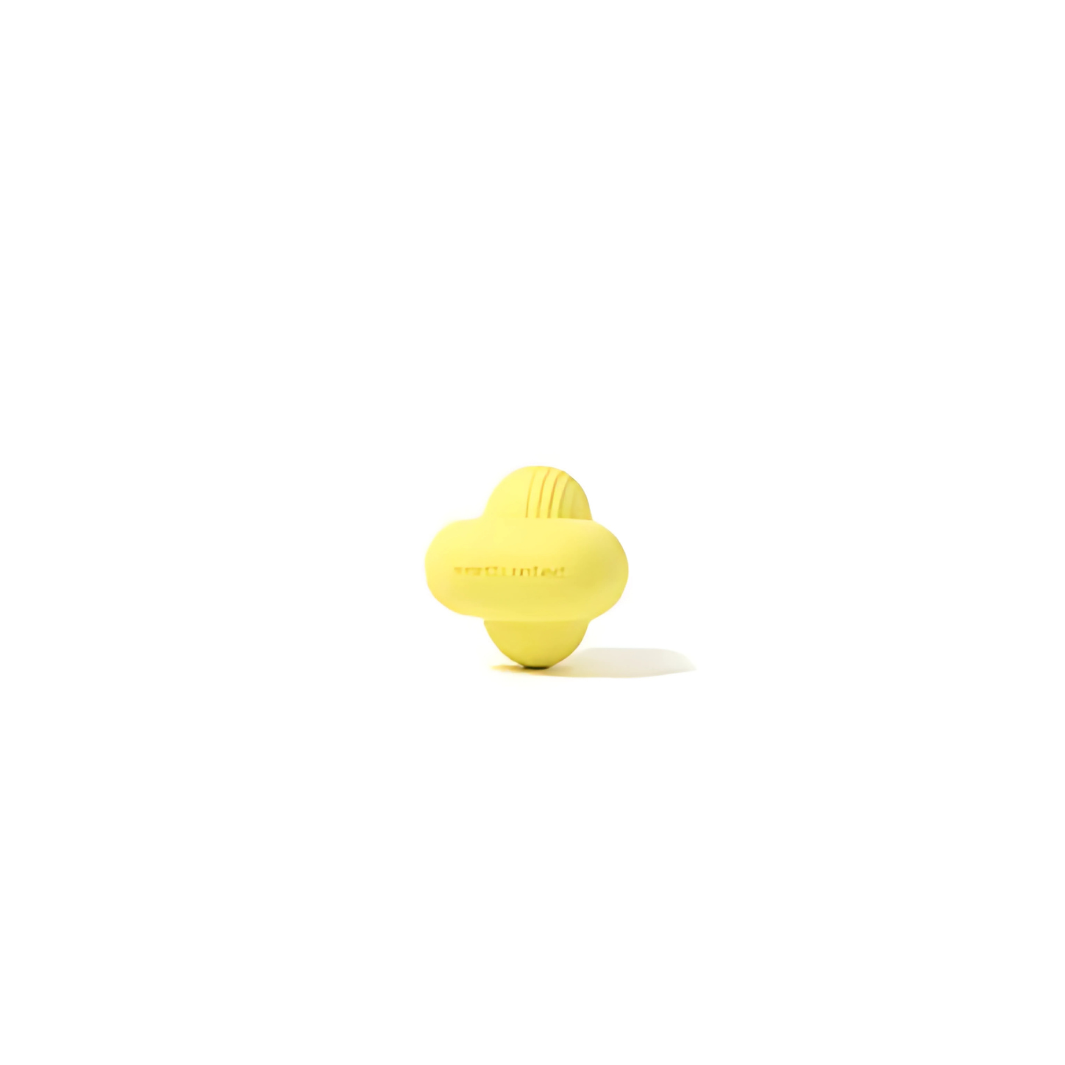 Earth Rated Apportierspielzeug Gummi